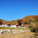 화니캠핑앤글램핑 이미지