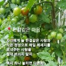 ★당신은 할 수 있습니다★ 이미지