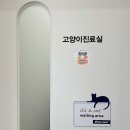 대구혁신메디컬 동물병원 이미지