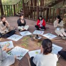 치유의 숲 이미지