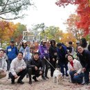 세계로종합동물병원 이미지