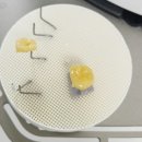 봄치과기공소 이미지