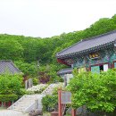 안국사 이미지