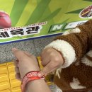 태풍 체육관 | 공룡 대발이 안전대모험 공연, 안전체험 후기