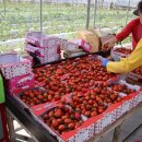 태성2태양광발전소 이미지