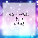 예동물병원 이미지