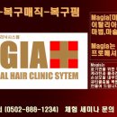 마지아헤어 이미지