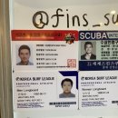서프리그 이미지