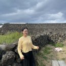 가을이네 | [제주도] 제주 동쪽 ,반려견 동반, 독채 하도 가을이네 숙박 후기