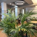 (주)대한한방 | 대전역 아토한방카페 전문가가 만든 한방차 맛집