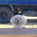 서연하우스 | 다들 궁금했지 우리의 리저브스튜디오 웨딩촬영후기~