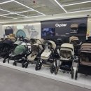 베네피아 평촌점 이미지