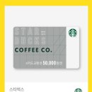 바디체크 이미지
