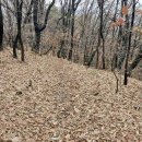 각광받는 국민스포츠 파크골프(2025.11.27.) 이미지