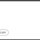 비니유케이크