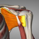 편한몸마취통증의학과의원 이미지