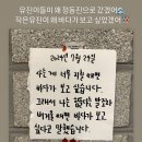 망미1-210 | [국내여행] 1박 2일 부산 여행