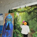 주차56 | [공연후기] 56개월 아이랑 수원 알라딘 뮤지컬 후기 | 좌석 꿀팁, 폴라로이드, 주차까지 솔직리뷰