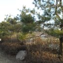 성석삼거리(고봉로) 이미지