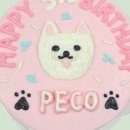 페리토리(perritory) 이미지