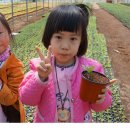 우전초교병설유치원 이미지