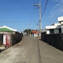 신도리-5 이미지