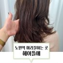 헤어뜰애 | 노원역 미용실 추천 머리잘하는곳 <헤어뜰애 본점> 후기
