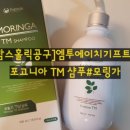 에이치홀릭 이미지