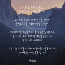 청색자색 이미지