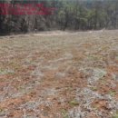 도장골천 이미지