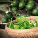 2007-주018 이미지