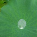 청연마을 이미지