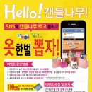 캔들나무 이미지