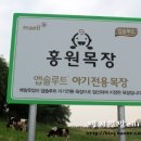 흥원목장 이미지