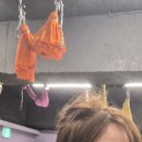 세븐일레븐 부산서구동대신점 | 부산 서구 플라잉요가 아더 스피닝 필라테스 동대신점에서 초중급 플라잉요가 1회차 후기