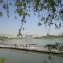 수원-0712 Daum카페