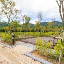 농사체험야영장 이미지