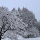 (주) 설산목장 이미지