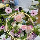 엄궁동 농산물도매시장 맞은편 | [부산] 엄궁동, 농협부산화훼공판장(엄궁 꽃시장)을 다녀왔어요(주차, 5월 휴무일정) 2026.04.25