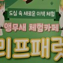 리프패럿광주 - 북구 하서로483번길 8 | 리프패럿광주