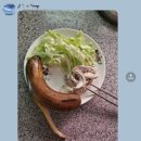 (진접)홈짐 | 41세 여성 다이어트 성공은 꾸준함 [ 진접피티 / 진접pt / 진접헬스 / 진접헬스장 ]