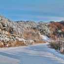 비밀의 정원 이미지