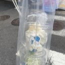 유이요거트 이미지