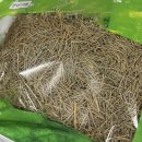 흙 한약국 이미지