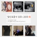 앙크필라테스 | 7. 임신 초중기 13주~20주 일상 (성별확인 배크기 태동시작 임산부감기)