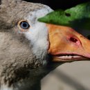 세탁의 달인 이미지