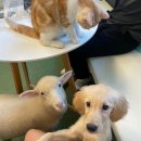 해피주 수원점 이미지