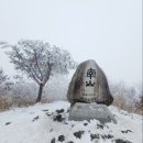 1월21일(화) 청도 남산(870m),한재미나리 이미지