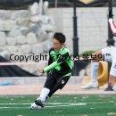 정림초등학교 이미지