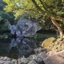 남원읍-54 이미지